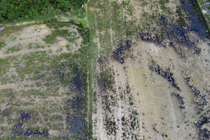 志盛-雲峰高速公路旁農田被機油淹沒