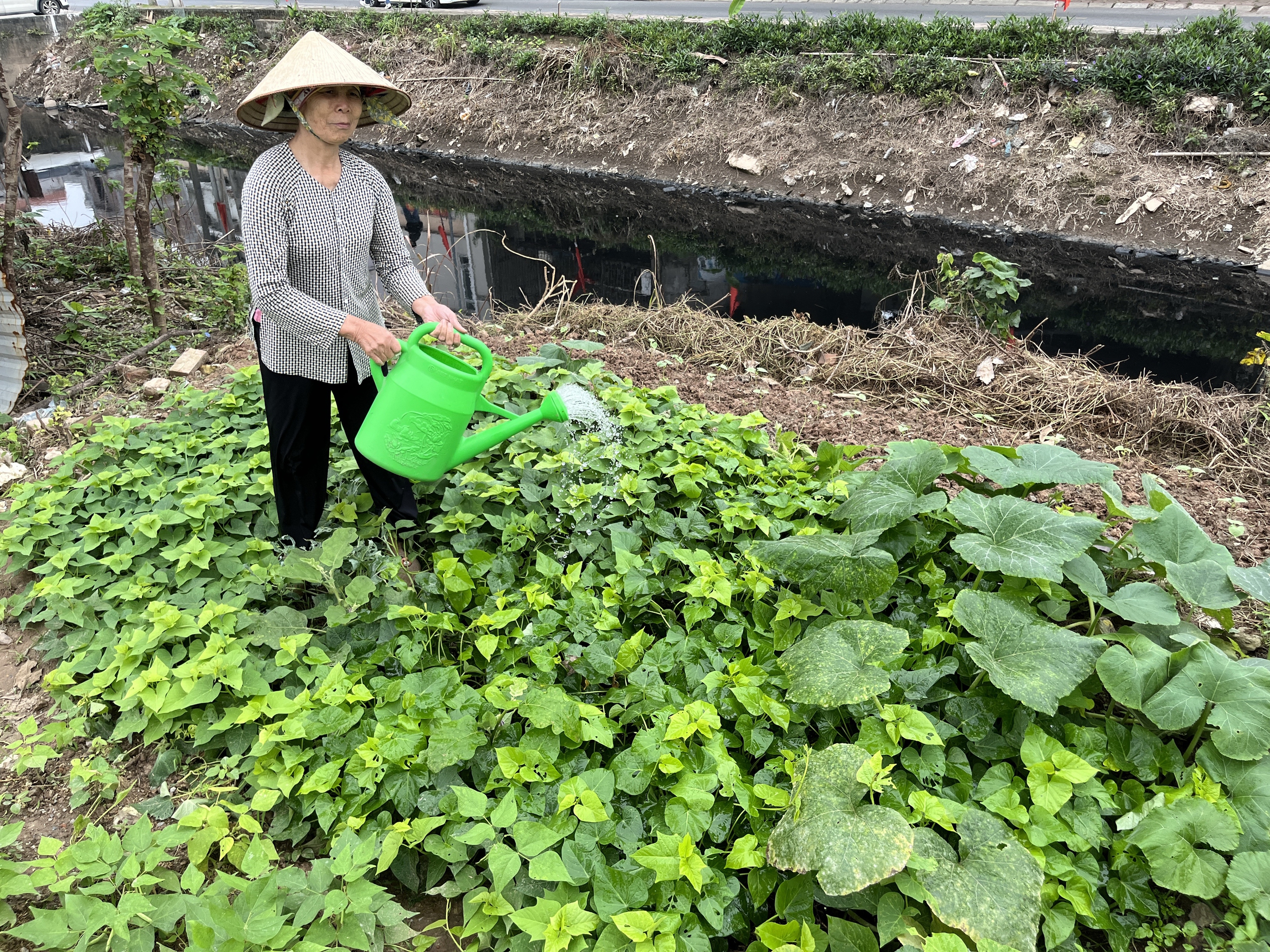 復興'大型水利工程'北興海