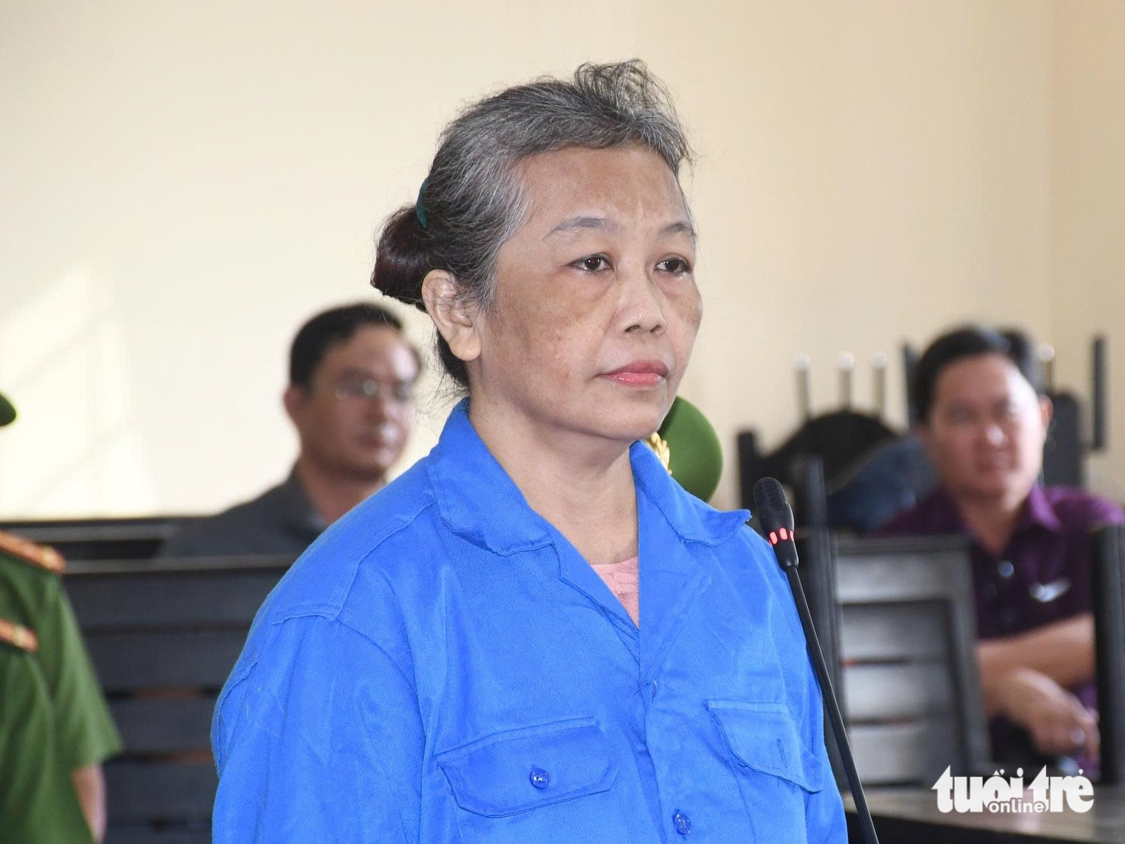 因發佈、分享虛假信息,侮辱國家領導人而被判刑