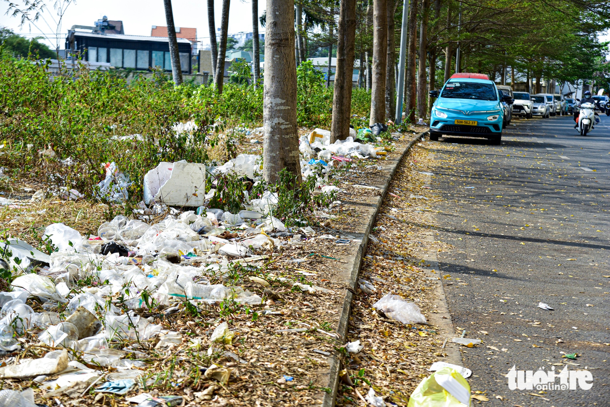 胡志明市:安慶坊多處垃圾氾濫