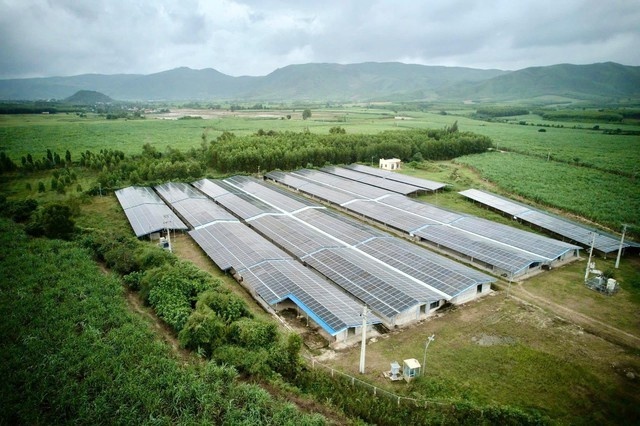 南成集團進軍咖啡出口市場