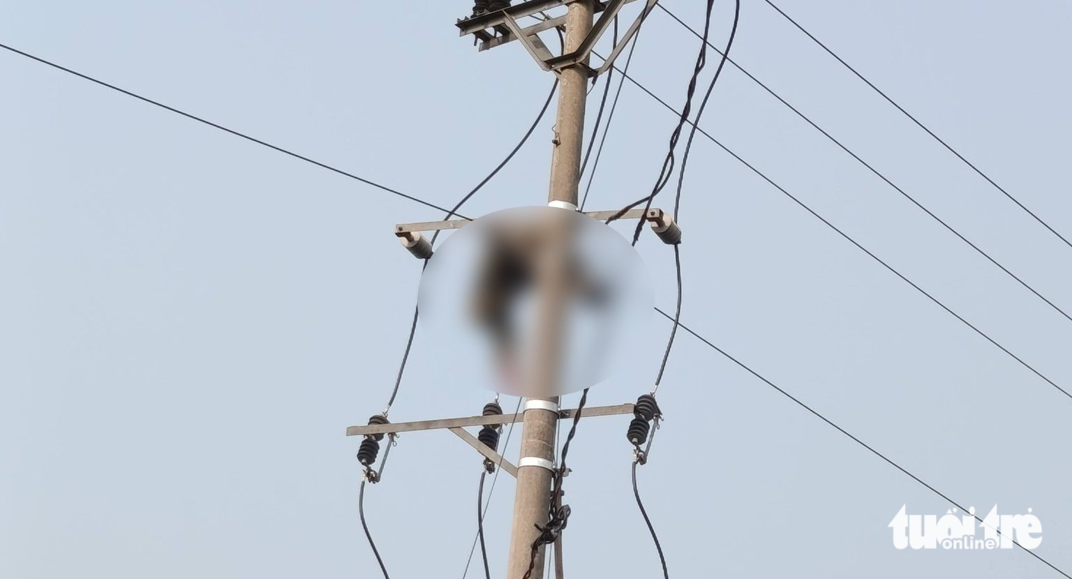 發現八年級男生屍體在電線杆上