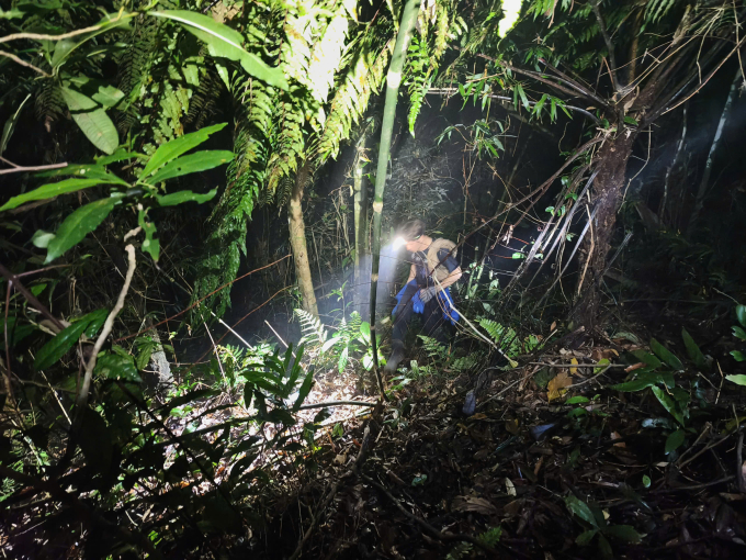 警告三島自發旅遊的風險