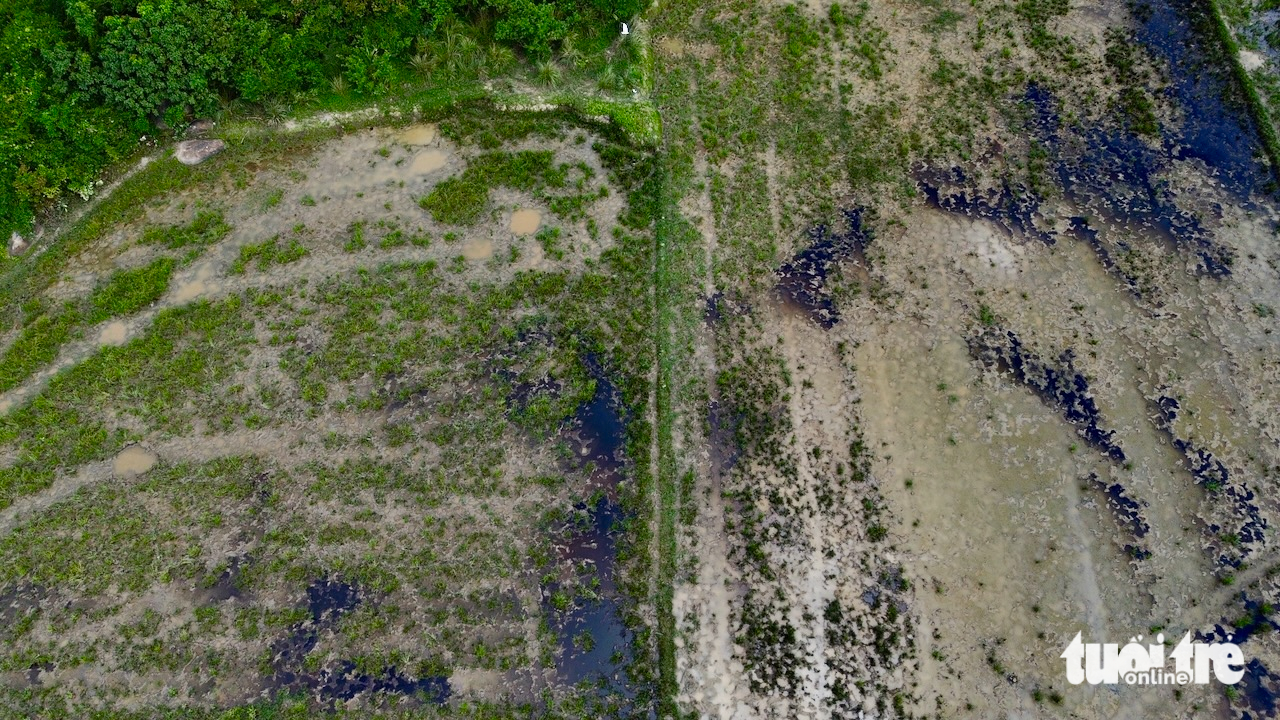 志盛-雲峰高速公路旁農田因廢機油和缺水而‘死亡’