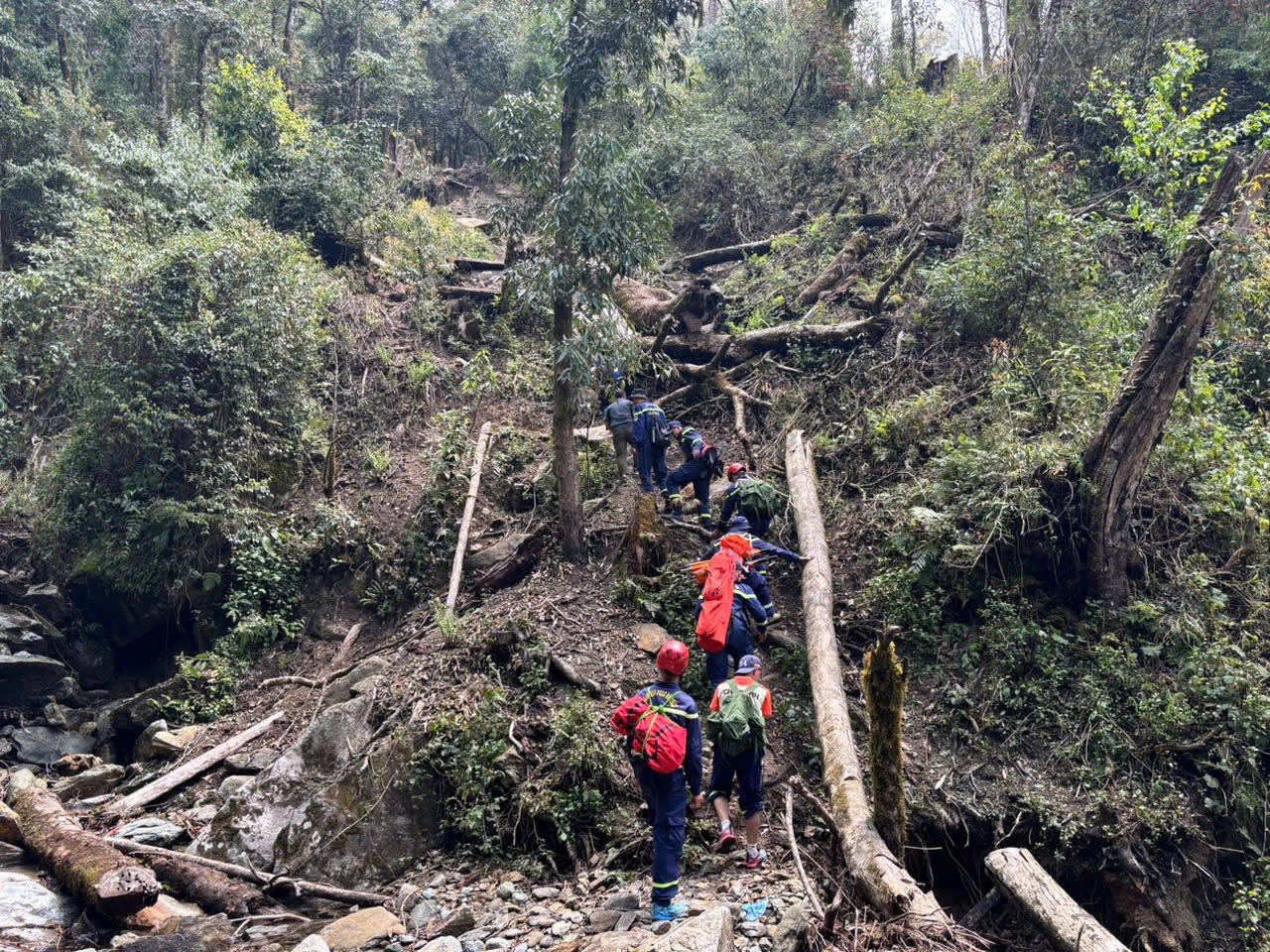 穿越森林搜尋,在山羅省越野賽中救出兩名迷路的運動員