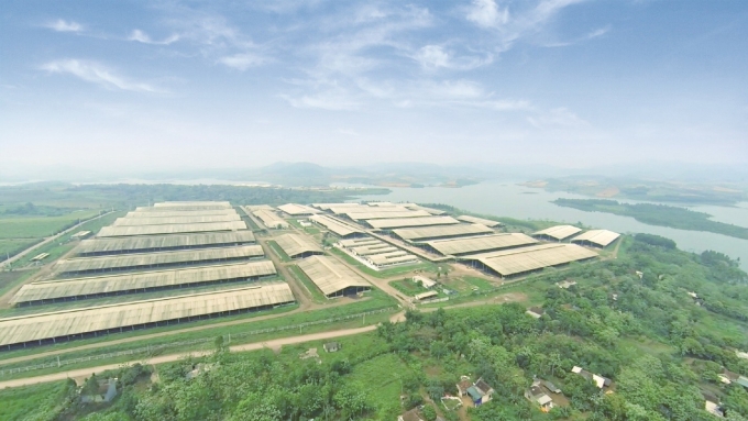 TH集團攜手發展廣義省邊境地區人力資源