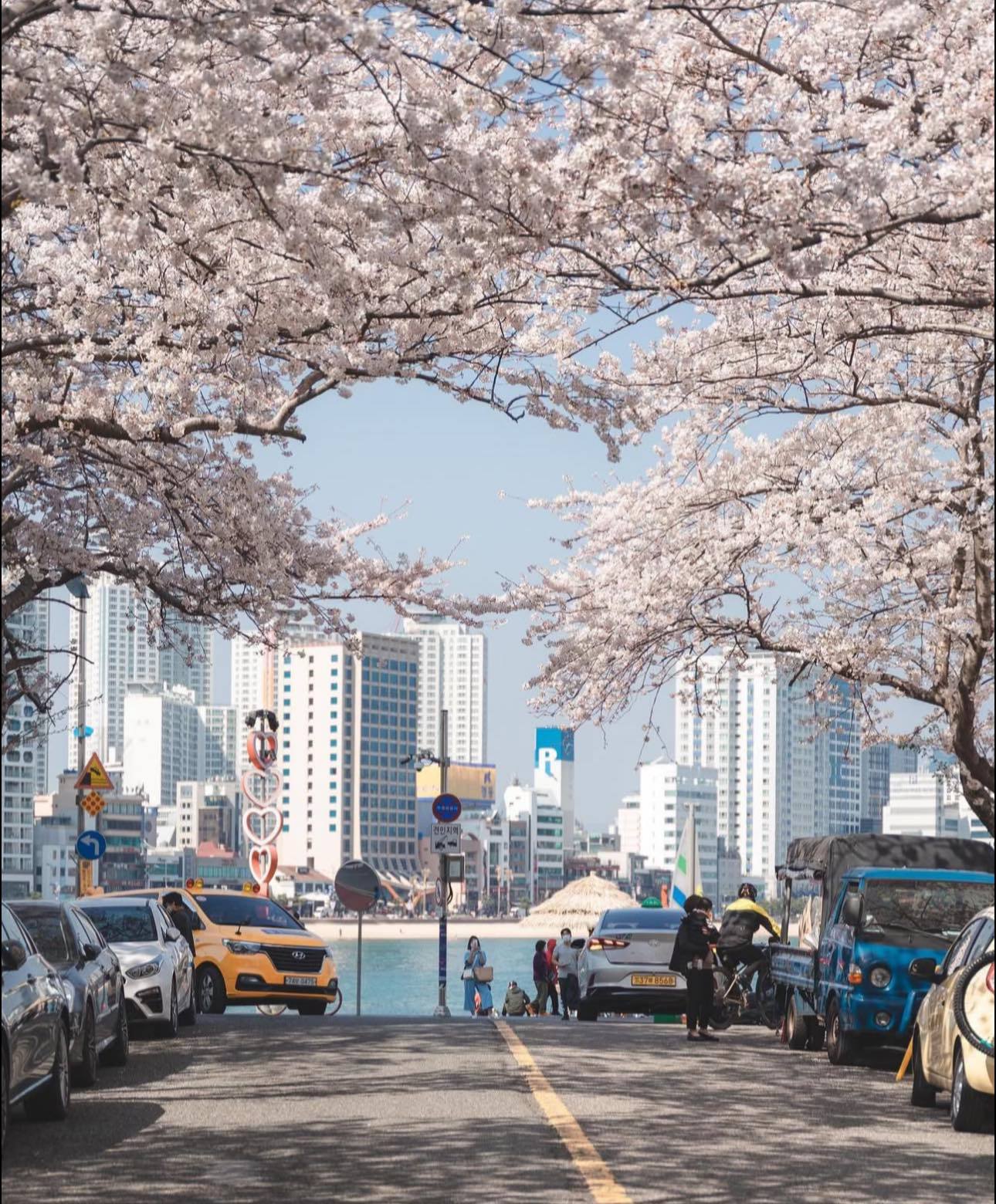 48年後,日本提高對越南遊客的簽證費用