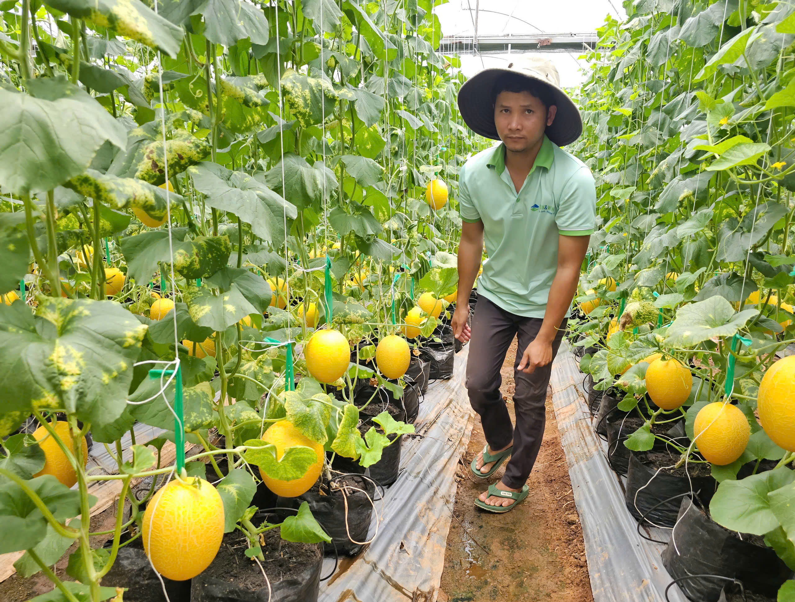 胡志明市舉辦農業創新競賽,提供高達4億越南盾支持